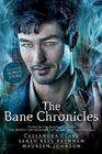 Cassandra Clare, Bane Chronicles (stories)
